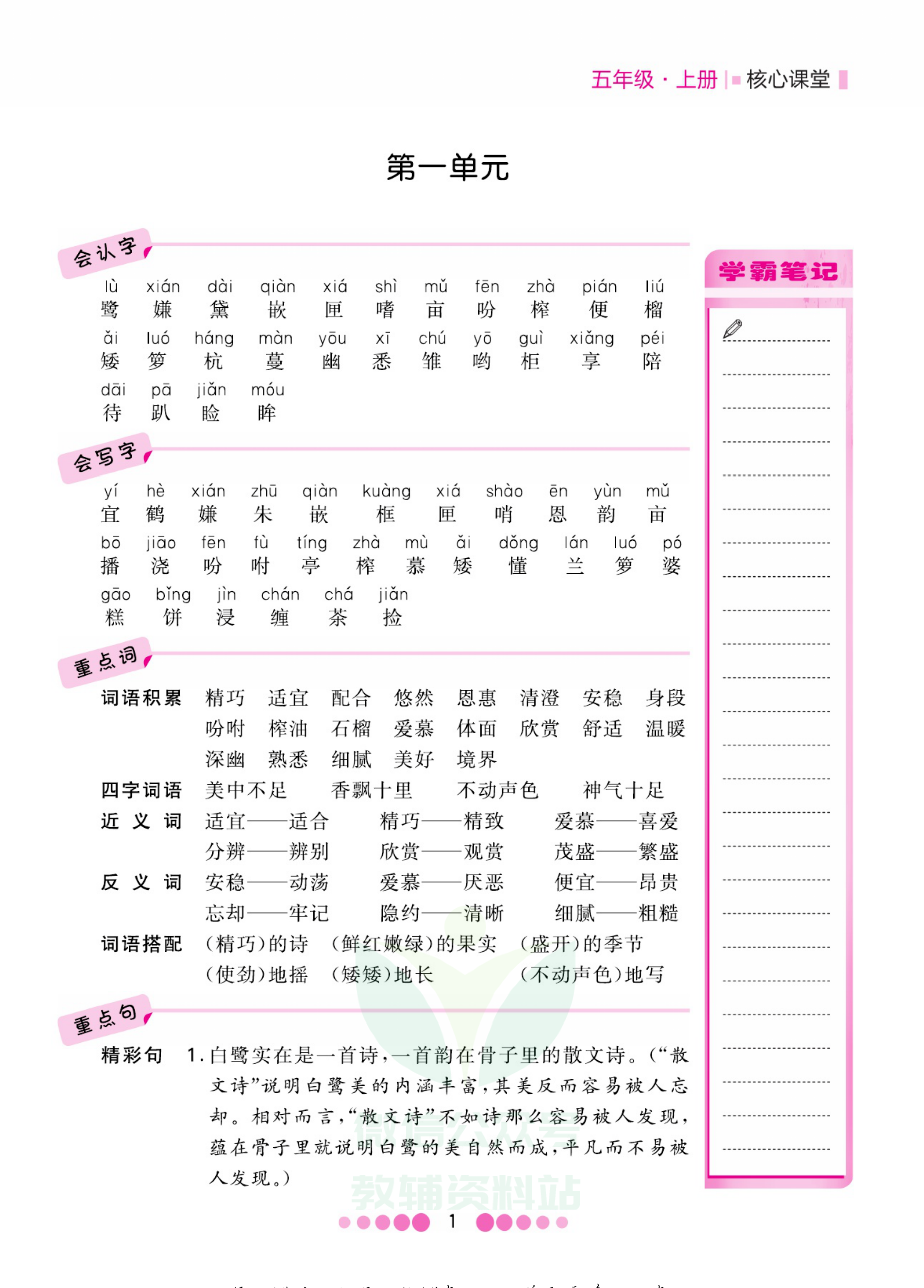 五年级上册语文部编版考点过关资料预览第 1 页