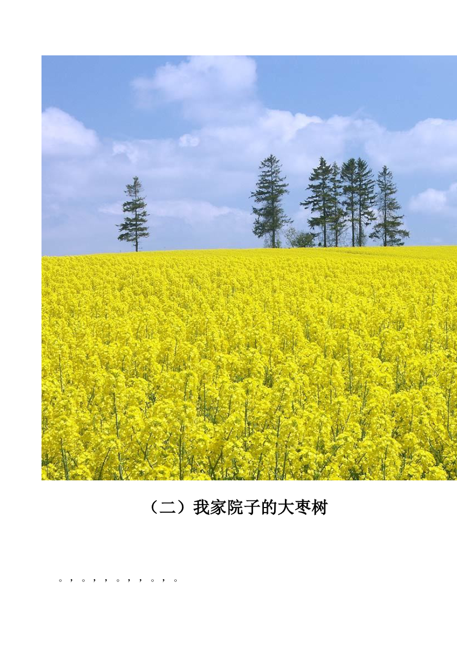 带拼音的阅读训练(全)资料预览第 3 页